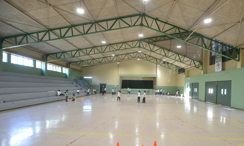 GIMNASIO 2