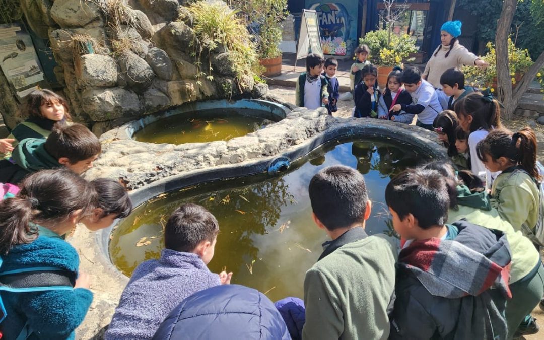 Salida Pedagógica Buin Zoo